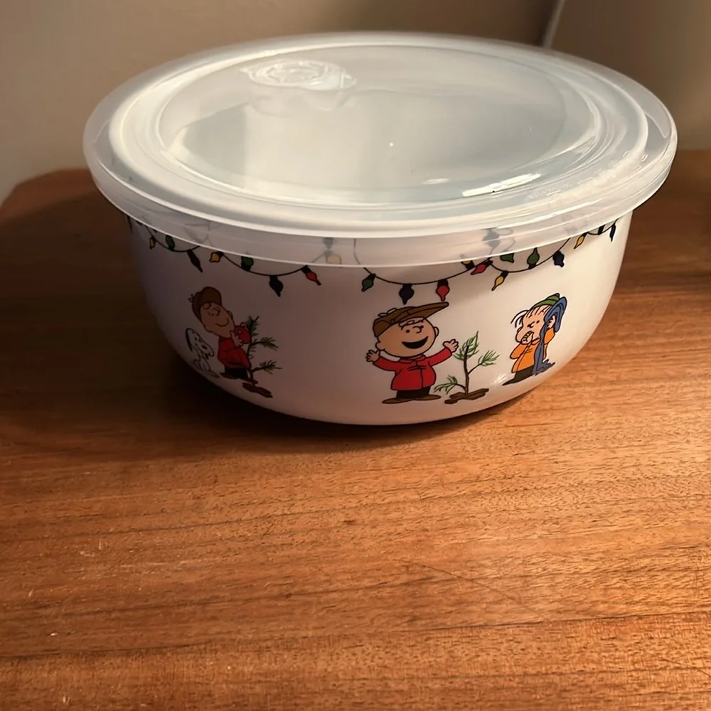 Snoopy storage container